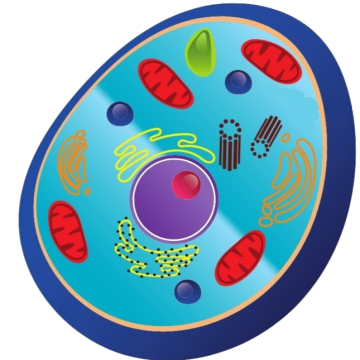 Cytosense LI  TM